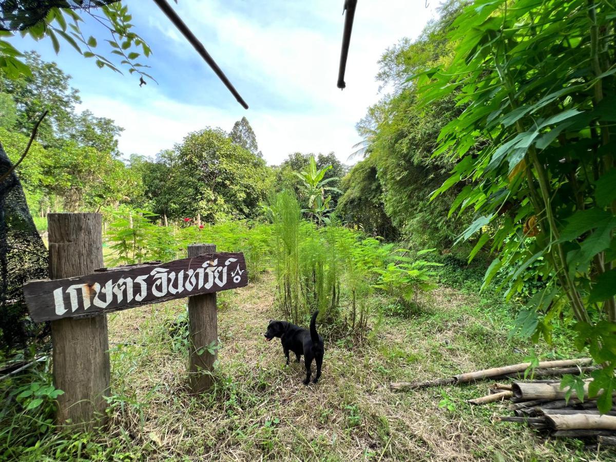 Phow Homestay Ban Mai  Bagian luar foto