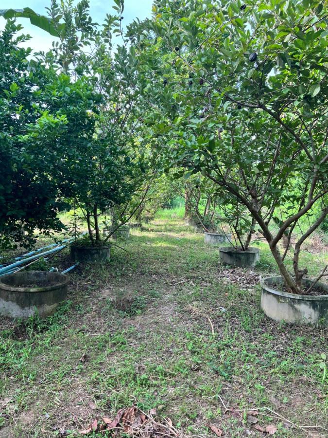 Phow Homestay Ban Mai  Bagian luar foto